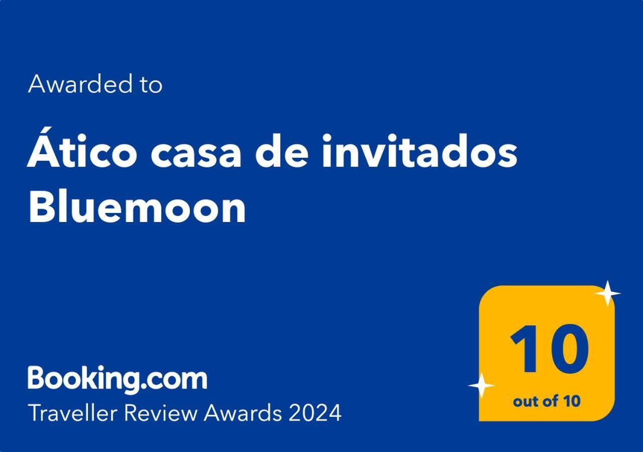 Atico Casa De Invitados Bluemoon Сан-Кристобаль-де-Ла-Лагуна Экстерьер фото